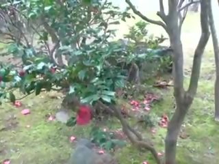 Grown-up 一对 他妈的: 超碰在线视频 一对 色情 电影 dc