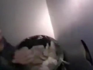 Vrimë adventures - ii, falas në kushte shtëpie x nominal film vid 0c