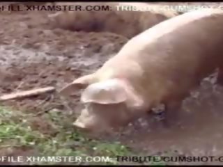 Ugly BBW grown-up Big Pussy Fucking, Free X rated movie 48